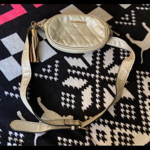 Gold ALDO Fannypack
